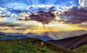 ייעוץ סביבתי