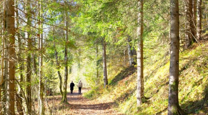 חוויות טעמים ייחודיות בסיור קולינרי בירושלים
