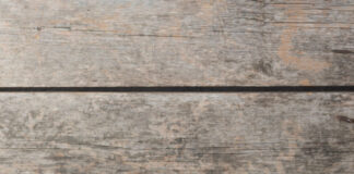 עציץ מפלסטיק