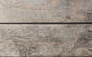 בחירת עציץ מפלסטיק עציץ מפלסטיק