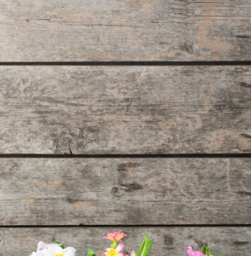 עציץ מפלסטיק